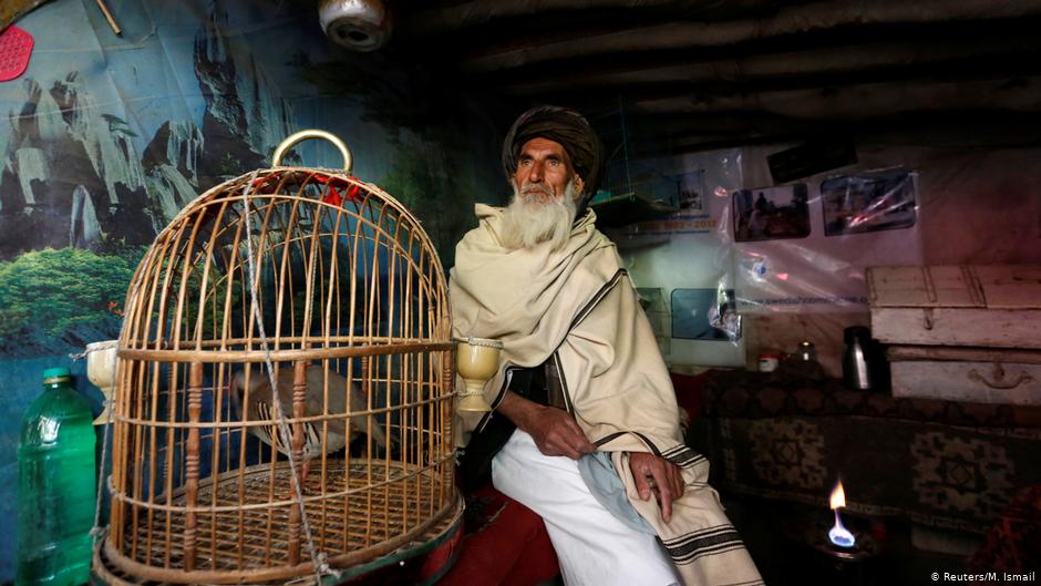 Mohammad Jan, 67, sits beside a cage of partridges in a shop at Ka Faroshi bird market in Kabul, Afghanistan (photo: REUTERS/Mohammad Ismail)  