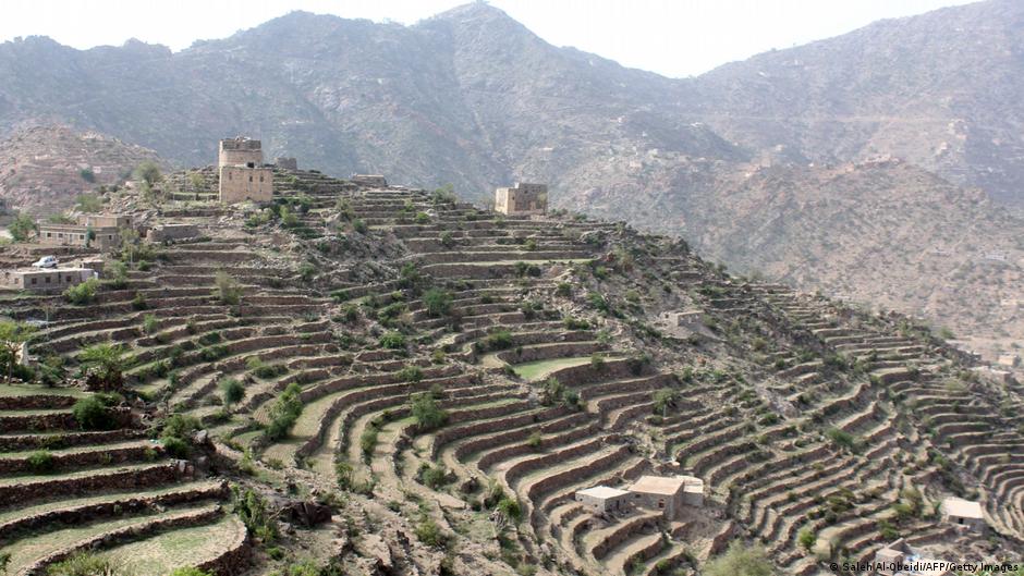 حقول جبلية ومدرَّجات زراعية في اليمن