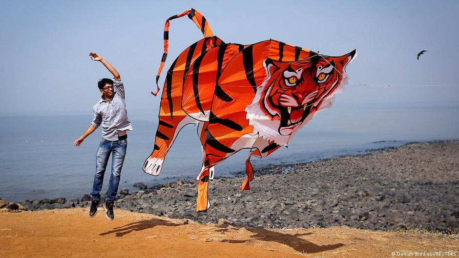 A participant flies a tiger shaped kite during the International Kite Festival in Mumbai, 8 January 2014 (photo: REUTERS/Danish Siddiqui)