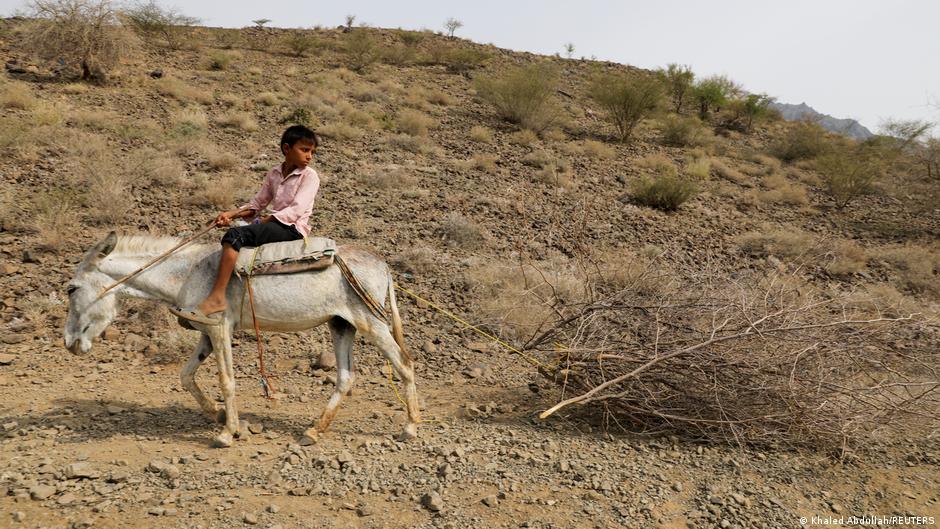 A boy who works as a lumberjack, rides a donkey as it drags a logged tree in Bajil district of Hodeida province, Yemen, 24 June 2021 (photo: Reuters/Khaled Abdullah)
