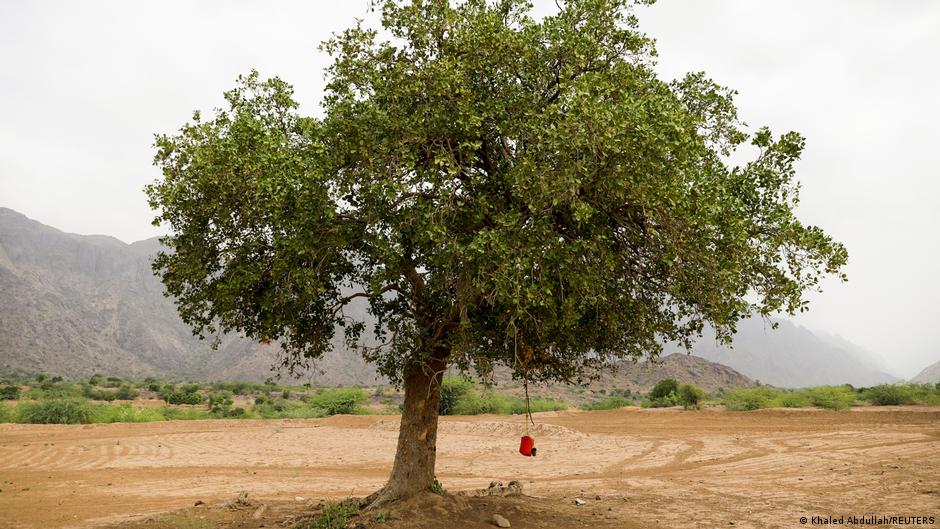 Free drinking water is hung on a tree in Khamis Banisaad district of al-Mahweet province, Yemen, 23 June 2021 (photo: Reuters/Khaled Abdullah)