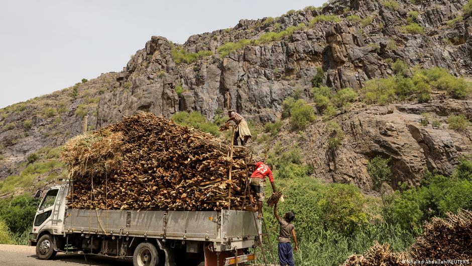 Lumberjacks load bundles of firewood onto a truck in Khamis Banisaad district of al-Mahweet province, Yemen, 24 June 2021 (photo: Reuters/Khaled Abdullah)