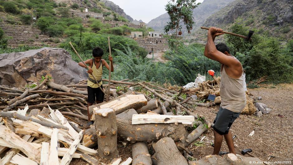 Ali al-Emadi, who works as a lumberjack and his nephew, split firewood with axes at their village in Khamis Banisaad district of al-Mahweet province, Yemen, 10 June 2021 (photo: Reuters/Khaled Abdullah)