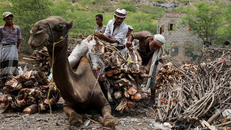 Vendors unload firewood bundles from the back of a camel at a market in Khamis Banisaad district of al-Mahweet province, Yemen, 10 June 2021 (photo: Reuters/Khaled Abdullah)