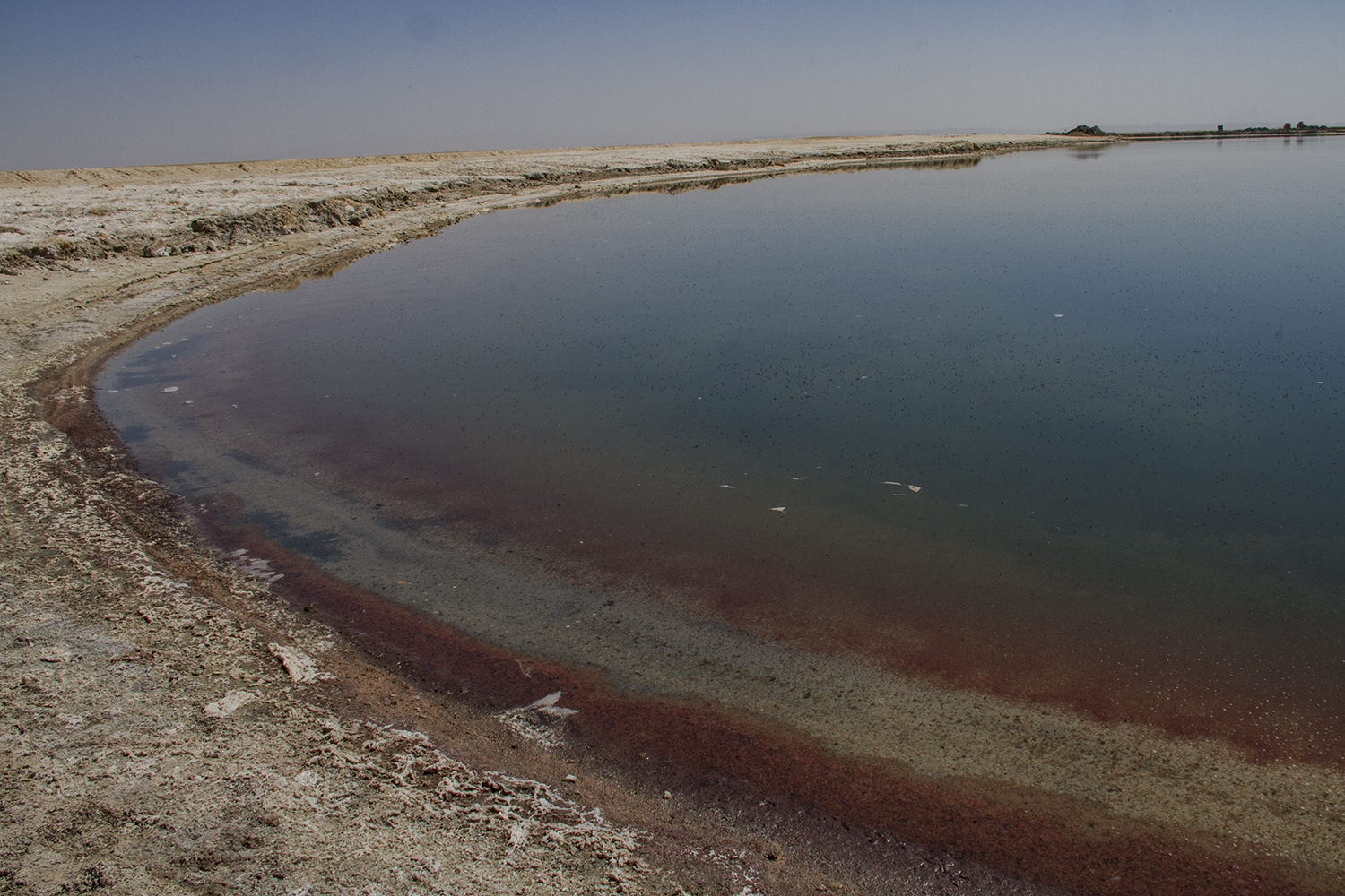 Lake shoreline showing a reddish tidemark (photo: Qantara)