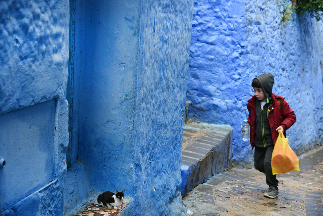 مدينة شفشاون - لؤلؤة زرقاء مغربية  09 Chefchaouen Moroccos Blue Pearl Photo Sugato Mukherjee