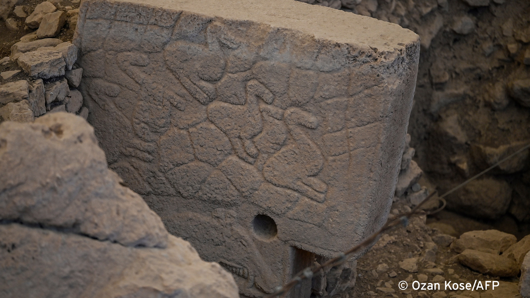  Carvings of ducks on one of the pillars at the prehistoric Gobekli Tepe site in Sanliurfa, Turkey (photo: Ozan KOSE/AFP) 