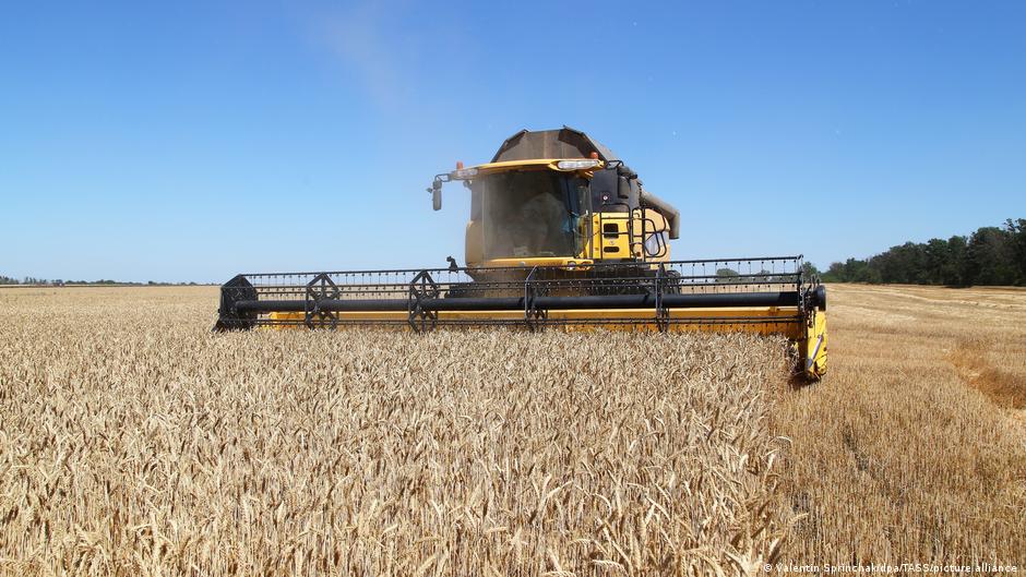 Machinery harvesting winter wheat in Ukraine (photo: Valentin Sprinchak/dpa/TASS/picture alliance)