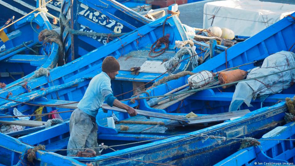  أكثر من 700 ألف شخص من سكان المغرب يعملون في قطاع الثروة السمكية. Marokko  Fischer in Essaouira Foto Imago Images 