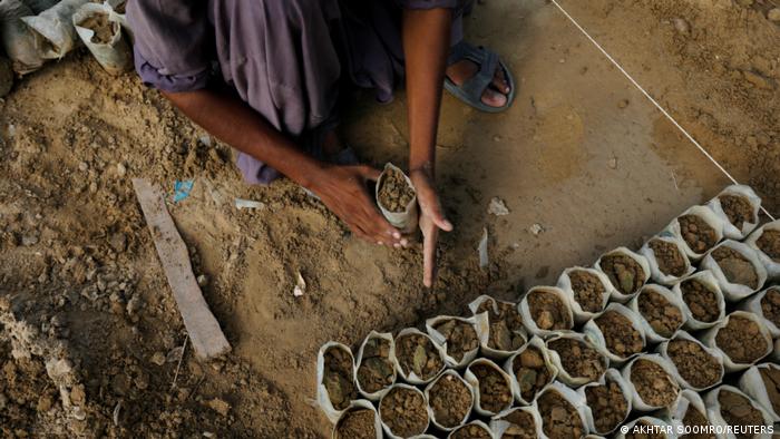 A worker prepares planting bags for seedlings at the Sindh Forestry Public Nursery in Karachi (photo: Reuters)