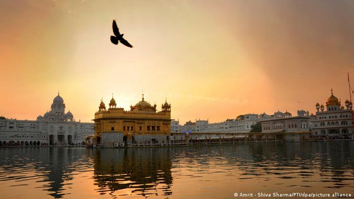 The golden temple stands framed by other buildings on the water in the sunset. Its silhouette is reflected in it and a bird flies above it