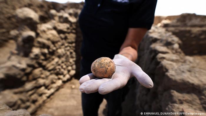 1,000 year-old intact chicken egg being held in a gloved hand.