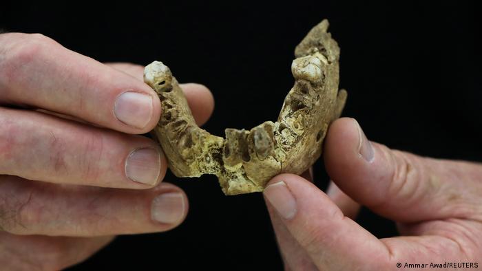 Jawbone of human fossil held by two hands.