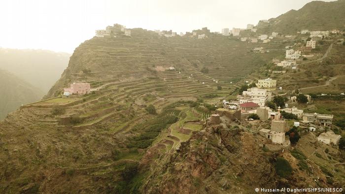 Hills terraced for coffee cultivation in the south of Saudi Arabia