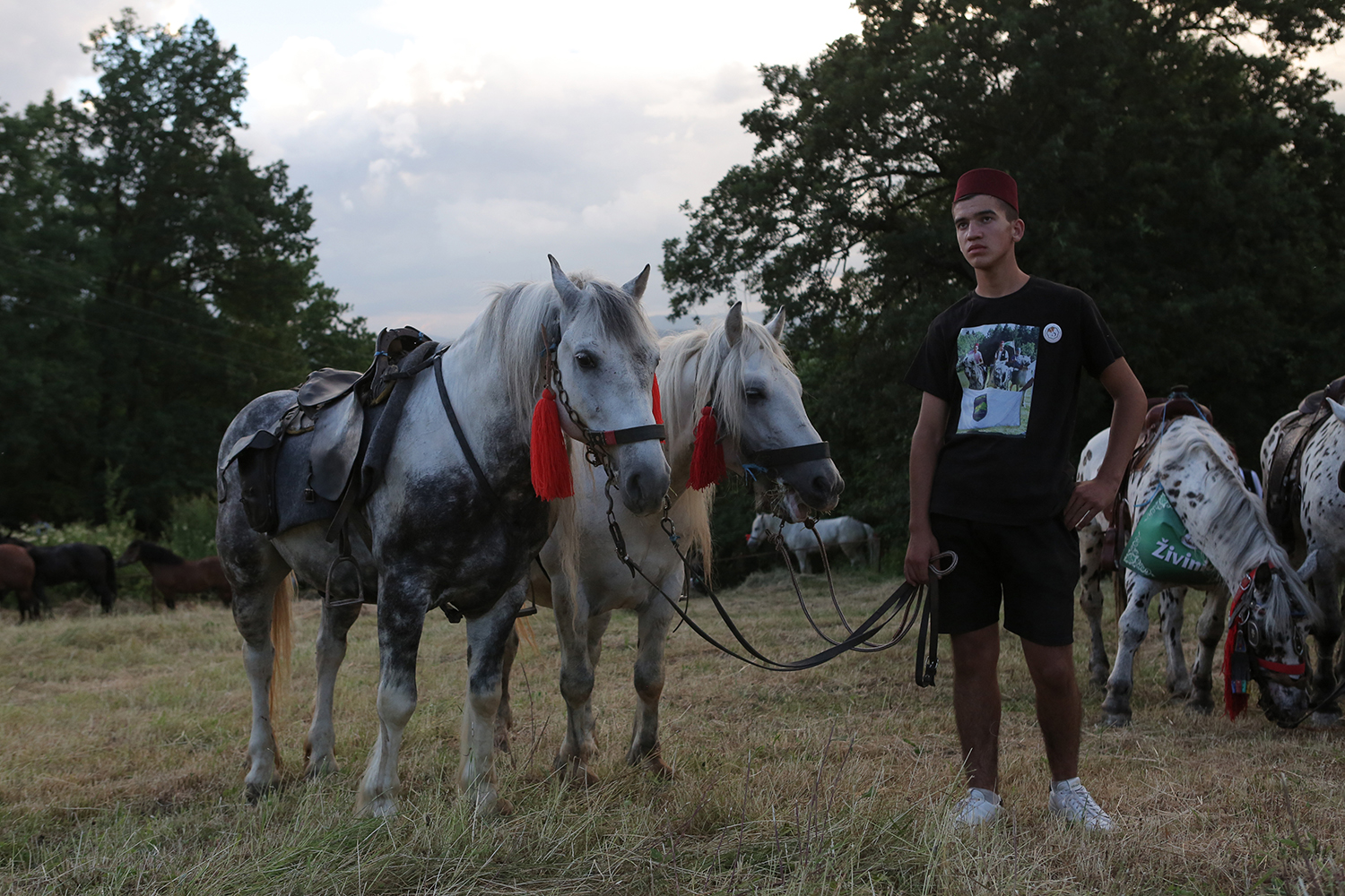 A man tends to horses in a meadow (photo: Konstantin Novakovic)
