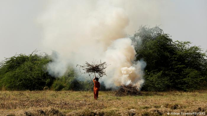 A man carries kindling over his head towards a burning bonfire (photo: Akhtar Soomro/Reuters)