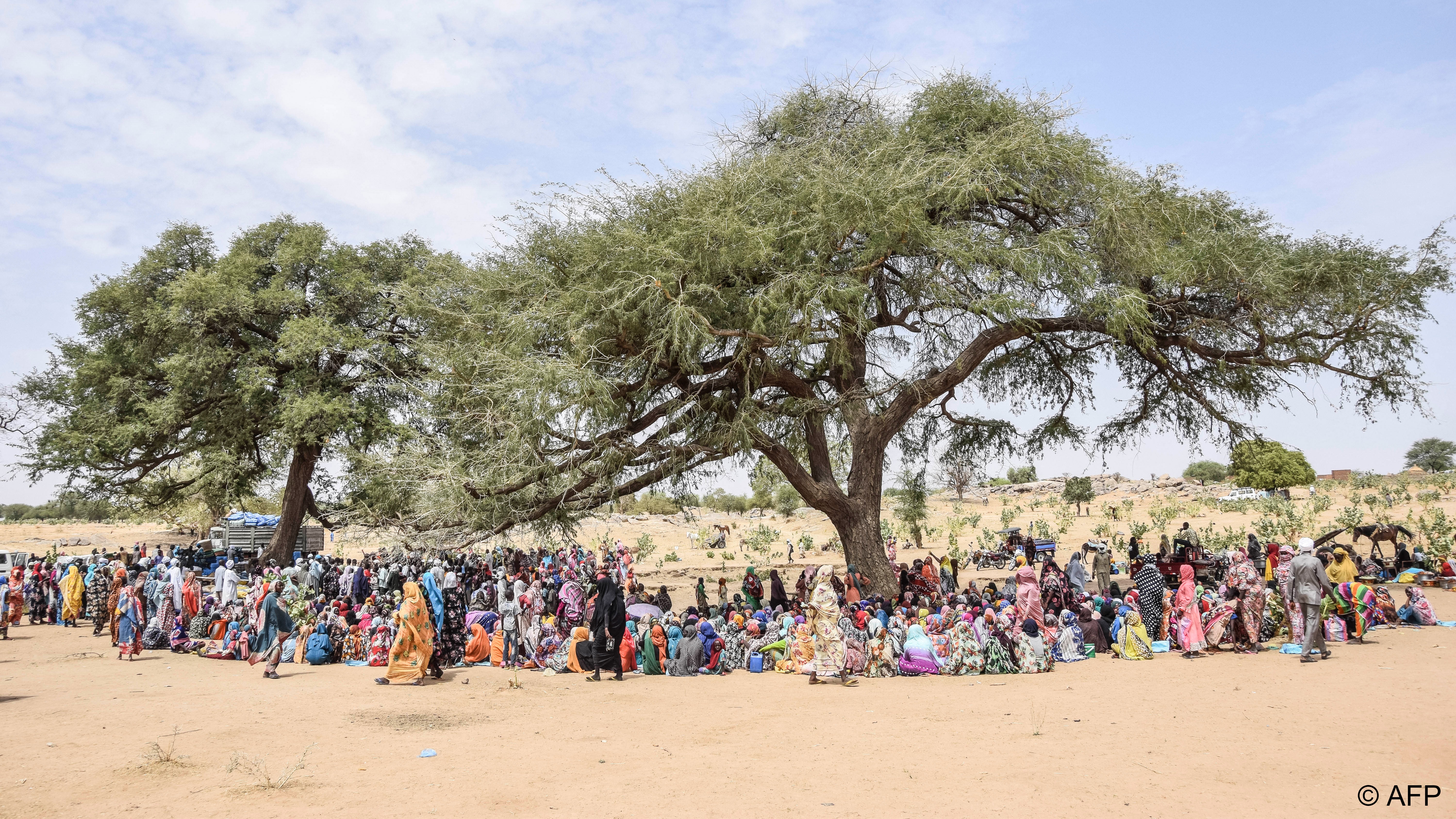 Sudanese refugees gather for aid distribution in Chad (photo: Gueipeur Denis Sassou/AFP)