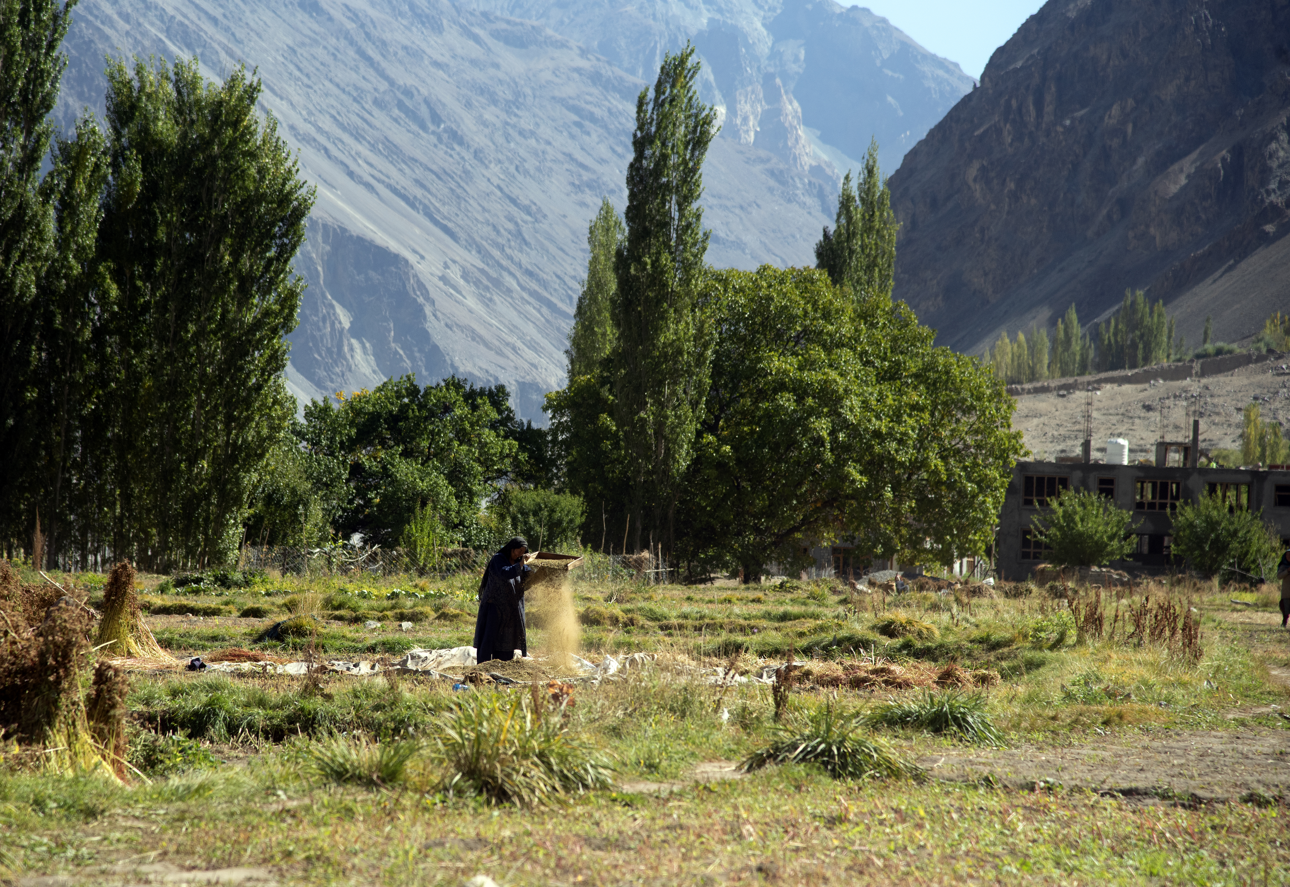 A woman in fields against a mountain backdrop (image: Sugato Mukherjee)
