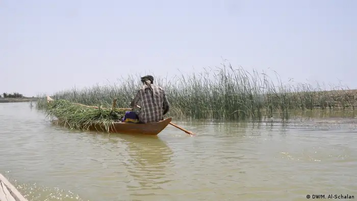 تغير المناخ يضرب أهوار العراق 09 Umwelt im Irak Foto DW