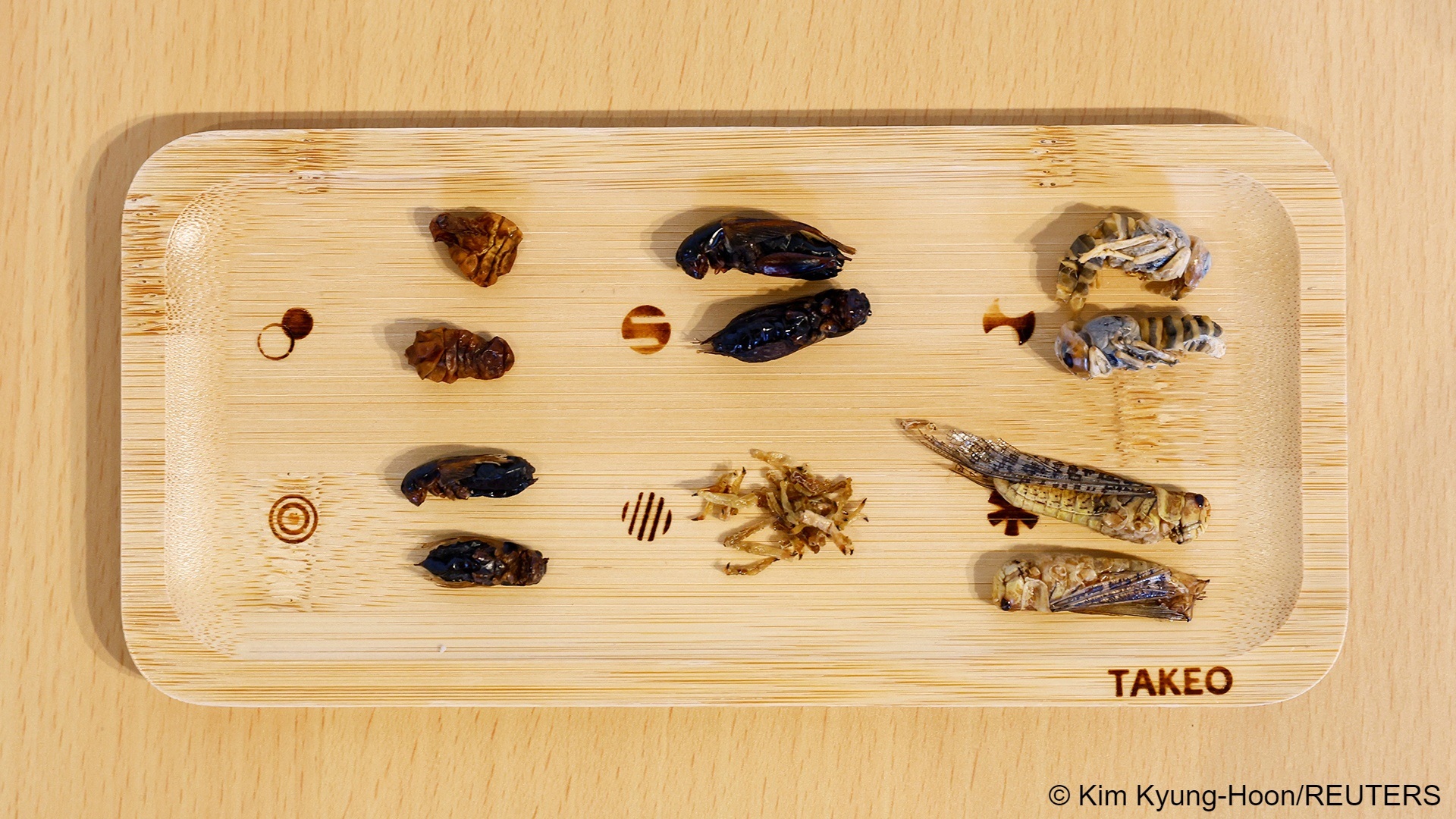 حشرات للأكل على مائدة طعام في اليابان. Im Take-Noko-Café in Tokio, Japan, sind verschiedene Insekten auf einem Teller abgebildet, 21. Juli 2023. (Foto; REUTERS/Kim Kyung-Hoon) 