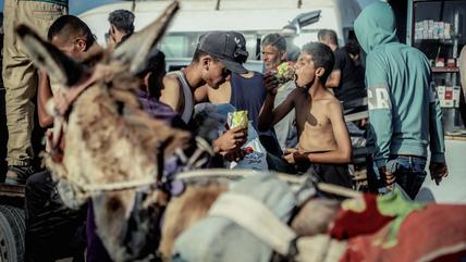 Rafah, Gaza, 27. Mai 2025. (Foto: Picture Alliance / Middle East Images | S. Jaras) Im Vordergrund ein Esel, dahinter eine Menschenansammlung