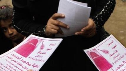 Advertising material for Baheya Mohammed, the first Egyptian candidate to stand for election in a niqab (photo: dapd)