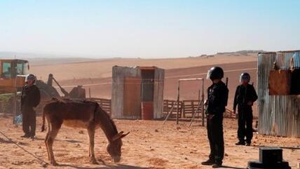 الفيلم البدوي الإسرائيلي "شرقية":  الصورة امير ليلويتز