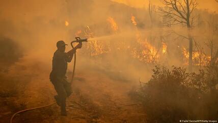 المغرب - حريق غابات قرب منطقة القصر الكبير 2022.