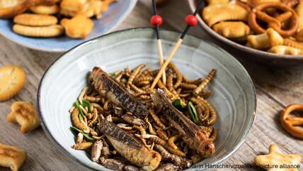 Eating insects is nothing new in Thailand. But even there, many find the idea of eating bugs hard to digest.