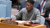 Former Special Representative of the UN Secretary-General for Libya Abdoulaye Bathily 