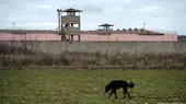 A black dog is seen walking through a field; in the background is a Turkish prison with high wall and watchtower