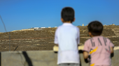Zwei kleine Jungen schauen von einem Hausdach auf Siedlungen im Westjordanland