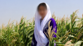 Eine junge Frau mit weißem Schleier steht in einem Maisfeld, ihr Gesicht ist technisch unkenntlich gemacht.