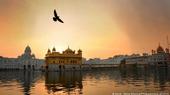 Magnificent architecture: India's most-famous landmark is a worldwide icon: the Taj Mahal tomb mosque in Agra. But there are many other imposing buildings, such as the Golden Temple of Amritsar (pictured), located in Punjab, which is the most spiritually significant sanctuary of the Sikh religion. A visit in the evening is especially beautiful, when the gilded temple walls are bathed by the gentle light