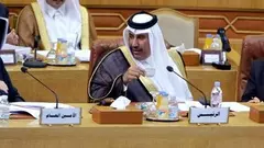 Delegates at the Arab League summit in Cairo in November 2011 (photo: dapd)