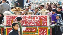 انطلاقاً من عبارة "قل لي ما تأكل، أقل لك من أنت"، واستنتاجات بورديو من أن الذوق يشكل في النتيجة عنصراً محدداً للطبقة، يرى الباحثان أنه يمكن من خلال هاتين المقولتين، رصد التمايزات داخل الطبقة الوسطى، إذ تبين بعض الجداول أن معظم أفراد الطبقة المتوسطة العليا ينفقون المال على الملابس والطعام والهواتف المحمولة، والخروج مع الأصدقاء، بيد أن هذه الميزات تتغير إلى حد ما لدى الطبقة الوسطى الدنيا، إذ ينفق معظم الشباب المال على الطعام، يليه الملابس والقمح والخبز والمياه والكهرباء. 