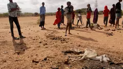 أشخاص يعانون من سوء التغذية يقفون حول جيف الماشية النافقة في الصومال