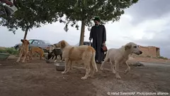 Social media sensation: Tabatabaei posts regularly – to his more than 80,000 followers – heart-breaking stories of abused and neglected dogs that he has treated in his shelter. The many hundreds of comments from his young fans request rescue updates and send well wishes to the animals
