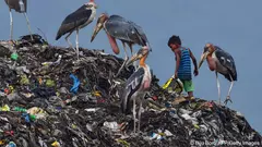 طفل يبحث عن مواد قابلة للتدوير وإعادة الاستخدام في كومة ضخمة من القمامة - الهند.