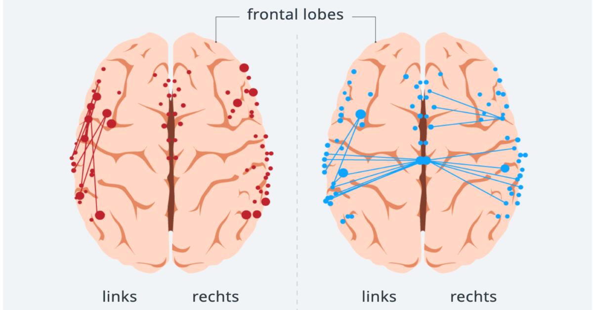How the brain processes German and Arabic