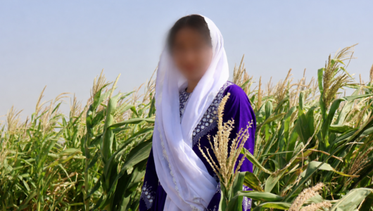 Eine junge Frau mit weißem Schleier steht in einem Maisfeld, ihr Gesicht ist technisch unkenntlich gemacht.